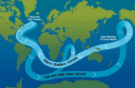ocean_circulation_conveyor_belt_438x0_scale